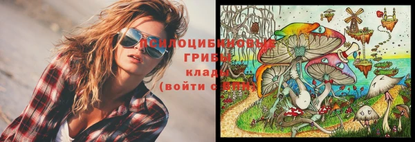 а пвп мука Белокуриха