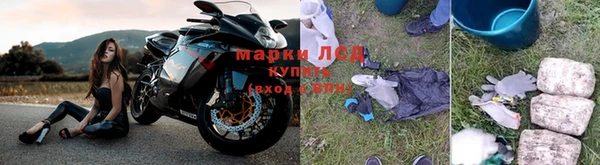 эйфоретик Беломорск
