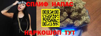 индика Аргун
