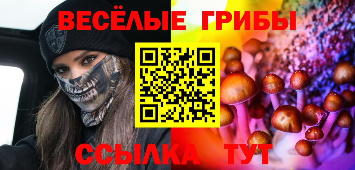 купить закладку  Псилоцибиновые грибы GOLDEN TEACHER  Вход с VPN  Бугульма  Галлюциногенные грибы MAGIC MUSHROOMS 