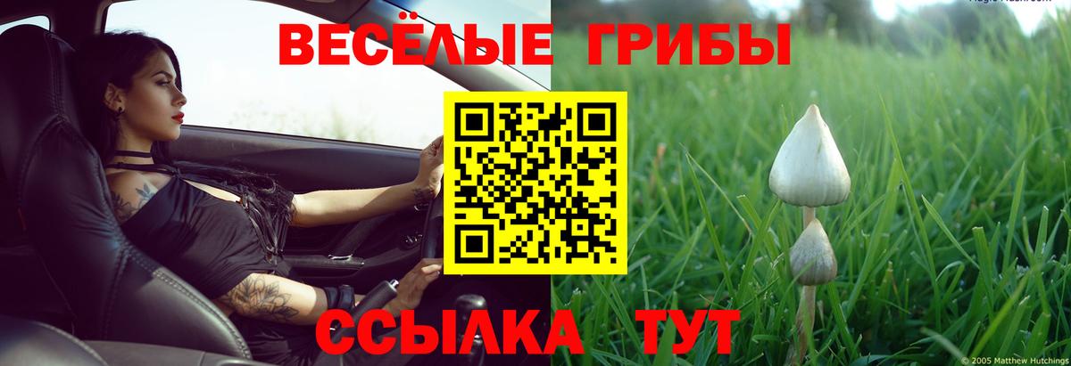 Псилоцибиновые грибы мухоморы Бугульма